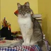 Отзыв от Мария Рогова